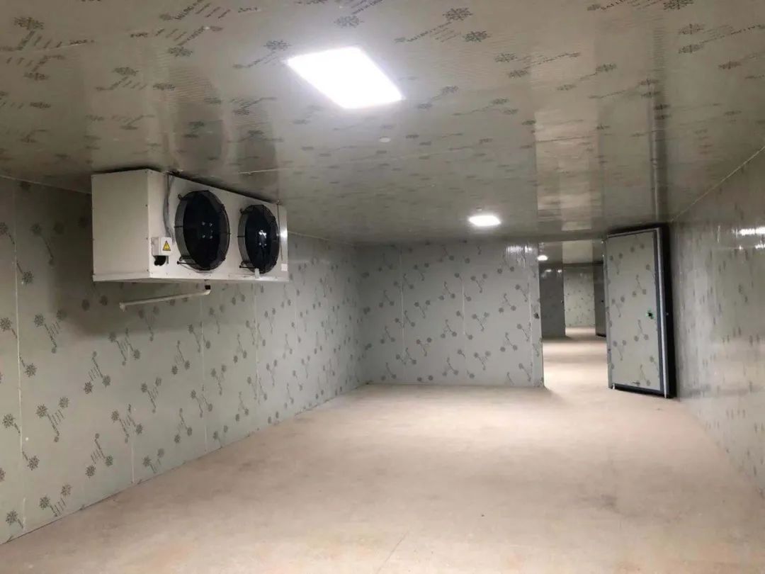 侯马气调保鲜冷库造价
